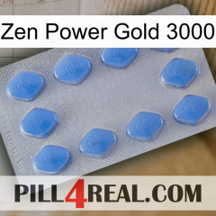 Zen Power Gold 3000 21